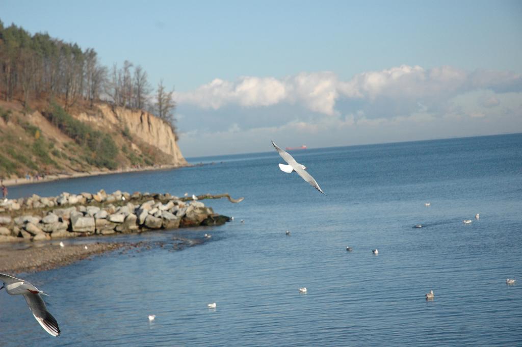 Apartamenty Wójcik Provans Gdynia Buitenkant foto